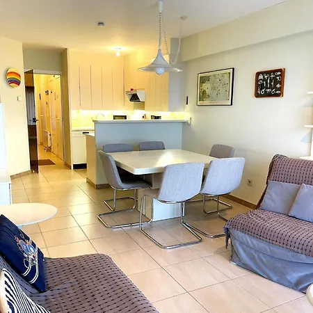 Beachfront In Apartment Nieuwpoort